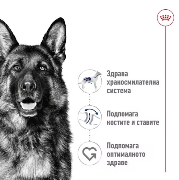 Royal Canin Maxi Adult Dog Can in Loaf - Консерва за кучета от едри породи 410гр